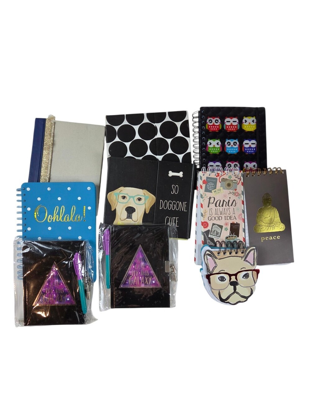 Assorted Blank Notebooks & Planners